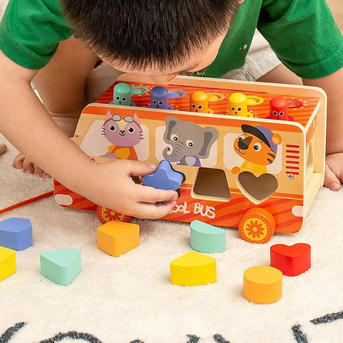 Wooden Montessori Toy