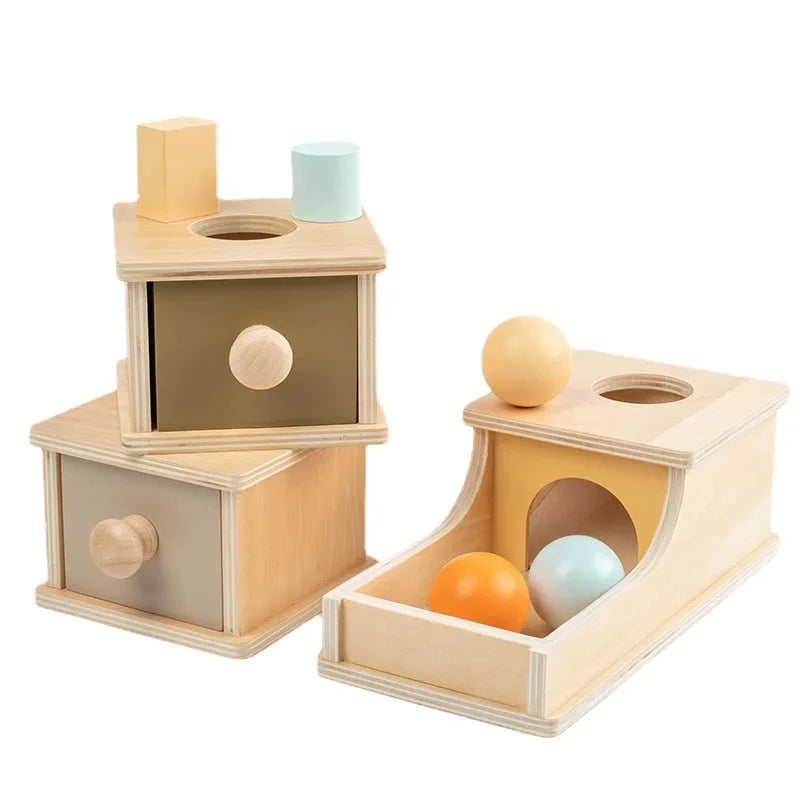 Montessori Baby Early Learning Toys Chroma Wooden Practice Color Shape Cognition Match Round Rectangular Box Sensory Toys Gifts