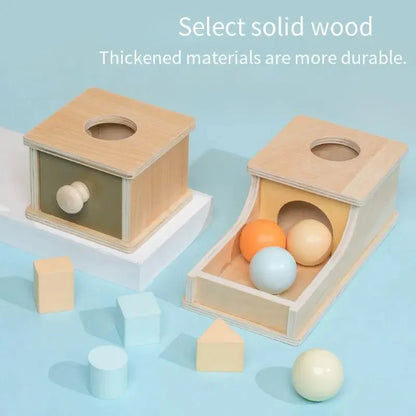Montessori Baby Early Learning Toys Chroma Wooden Practice Color Shape Cognition Match Round Rectangular Box Sensory Toys Gifts